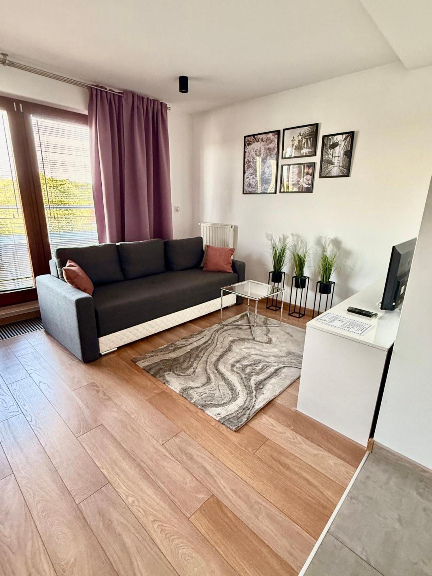 Apartament Studio Platan シフィノウイシチェ エクステリア 写真